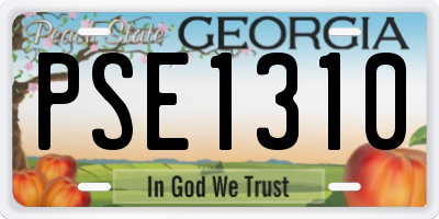 GA license plate PSE1310
