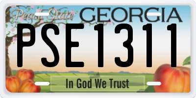 GA license plate PSE1311