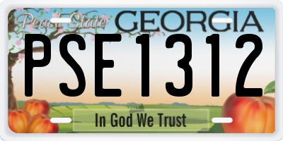 GA license plate PSE1312