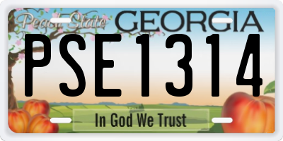 GA license plate PSE1314
