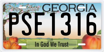 GA license plate PSE1316