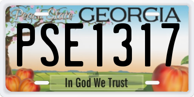 GA license plate PSE1317