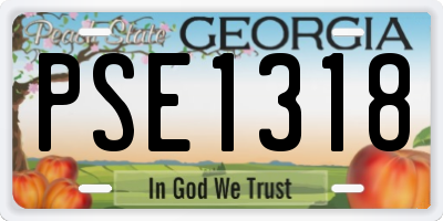 GA license plate PSE1318