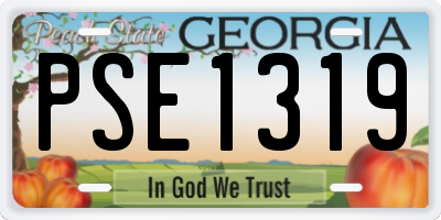 GA license plate PSE1319