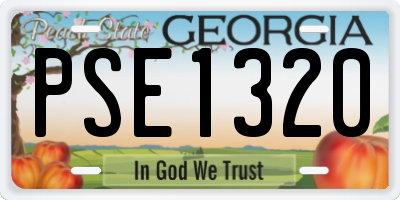 GA license plate PSE1320
