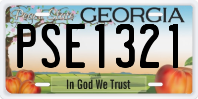 GA license plate PSE1321