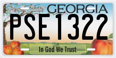 GA license plate PSE1322