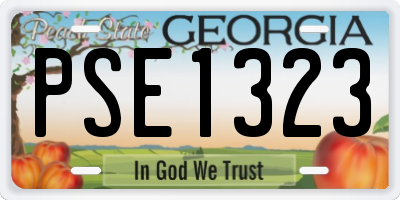 GA license plate PSE1323