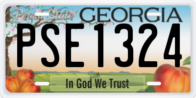 GA license plate PSE1324