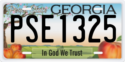 GA license plate PSE1325