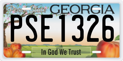 GA license plate PSE1326