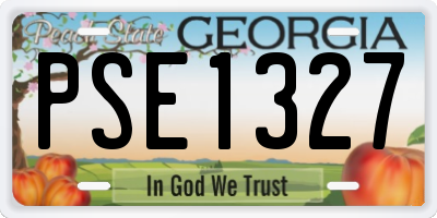 GA license plate PSE1327