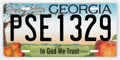 GA license plate PSE1329