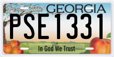 GA license plate PSE1331