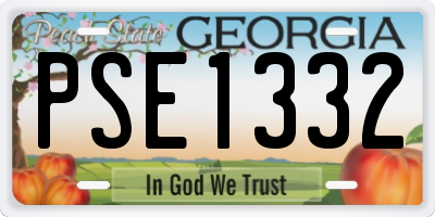 GA license plate PSE1332