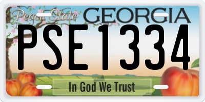 GA license plate PSE1334