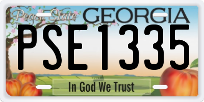GA license plate PSE1335