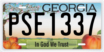 GA license plate PSE1337