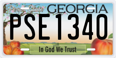 GA license plate PSE1340