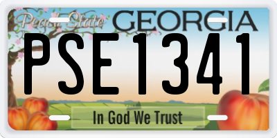 GA license plate PSE1341