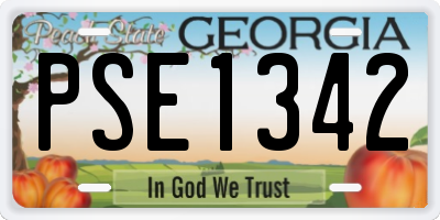 GA license plate PSE1342