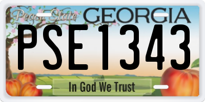 GA license plate PSE1343