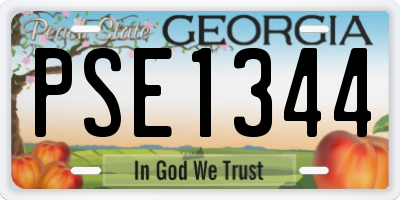 GA license plate PSE1344