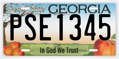 GA license plate PSE1345