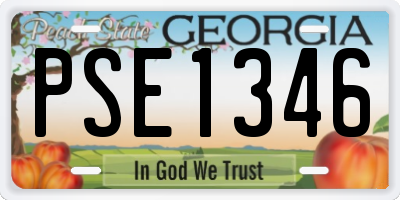 GA license plate PSE1346