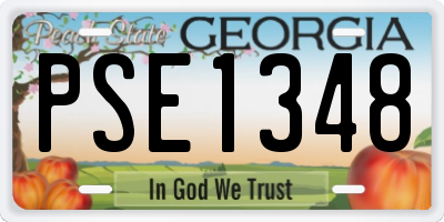 GA license plate PSE1348