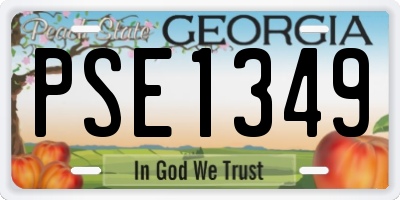 GA license plate PSE1349