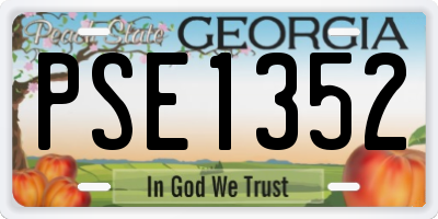 GA license plate PSE1352