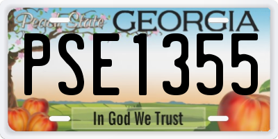 GA license plate PSE1355