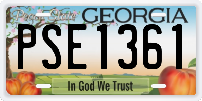 GA license plate PSE1361
