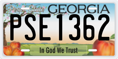 GA license plate PSE1362