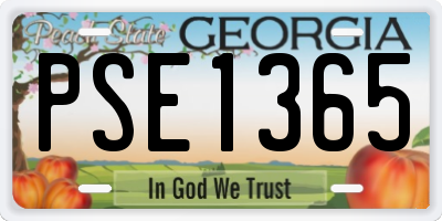 GA license plate PSE1365