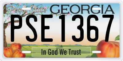 GA license plate PSE1367