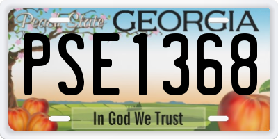 GA license plate PSE1368