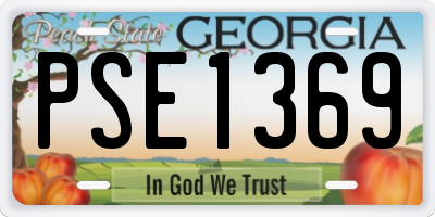 GA license plate PSE1369