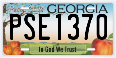 GA license plate PSE1370