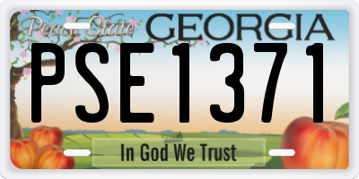 GA license plate PSE1371