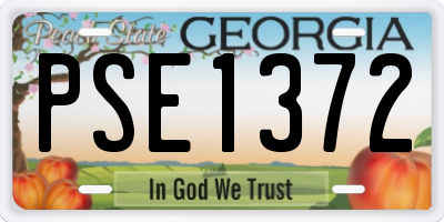 GA license plate PSE1372