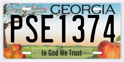 GA license plate PSE1374