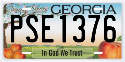 GA license plate PSE1376