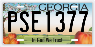 GA license plate PSE1377