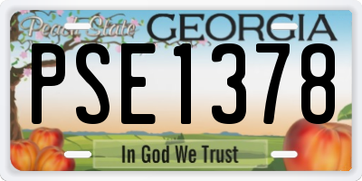 GA license plate PSE1378