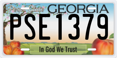 GA license plate PSE1379