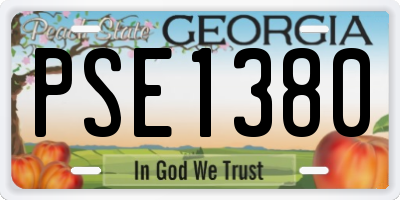 GA license plate PSE1380