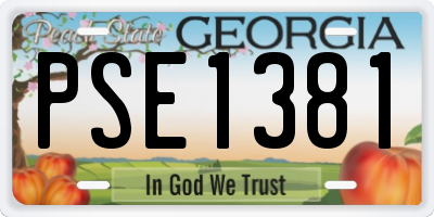 GA license plate PSE1381