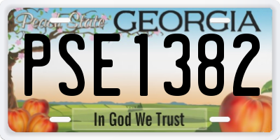 GA license plate PSE1382